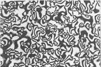 Жидкие кристаллы, история открытия жидких кристаллов, структура, типы и их применение