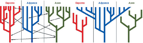 Генетическая история человечества