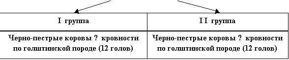 Скотоводство