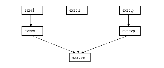 Теория вычислительных процессов и структур