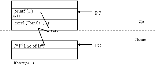 Теория вычислительных процессов и структур