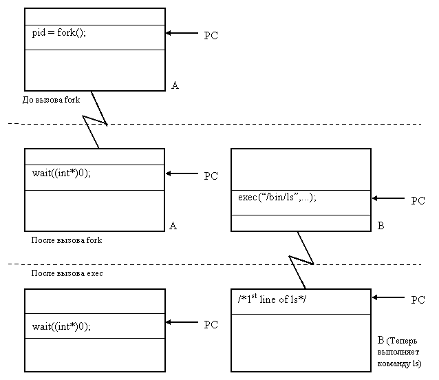Теория вычислительных процессов и структур