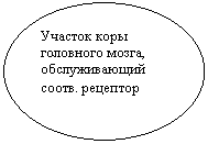 Основы безопасности жизнедеятельности