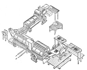 Лен-долгунец в России