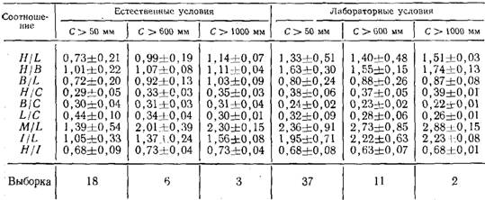 Морфология колонии гидроида obelia longissima