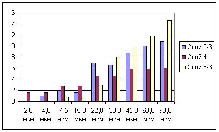 Билатеральные комплексы бочонковых колонок первичной соматосенсорной коры мозга являются модулями восприятия пространства