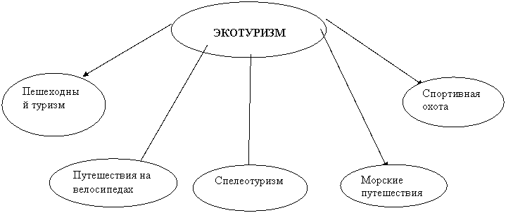 Экологический туризм