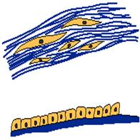 Социальное поведение нормальных клеток и антисоциальное поведение опухолевых клеток