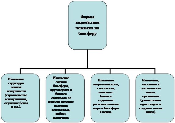 Организационная диаграмма