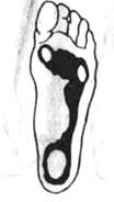 441.jpg (3760 bytes)