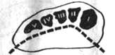 443.jpg (3350 bytes)