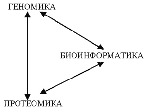 Рис. 1. Схема, иллюстрирующая полную взаимосвязь трех новых биологических наук