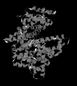 Рис. 7. Пространственная (третичная) структура молекулы сывороточного альбумина человека