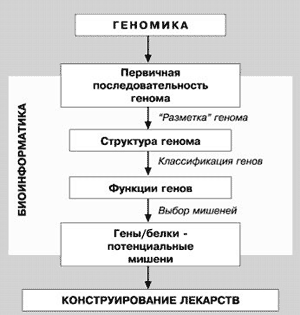 Рис. 18. Взаимосвязь геномики, протеомики и биоинформатики при решении проблемы конструирования новых лекарственных средств