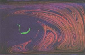 После 10 периодов красная капля вытянулась и многократно изогнулась, образовав складки: она попала в область хаотического перемешивания. Зеленая капля лишь несколько вытянулась — это «остров» нехаотического перемешивания