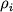 $\rho _{i}$