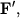 ${\displaystyle {\displaystyle \bf F}}',$