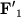 ${\displaystyle \bf {\displaystyle F}'}_{1}$