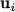 ${\displaystyle \bf u}_{i}$