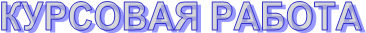 КУРСОВАЯ РАБОТА